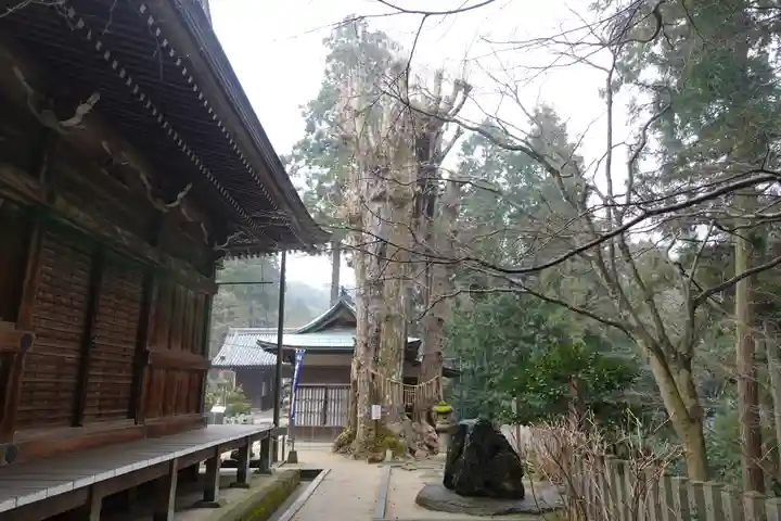 白峯寺(香川県)