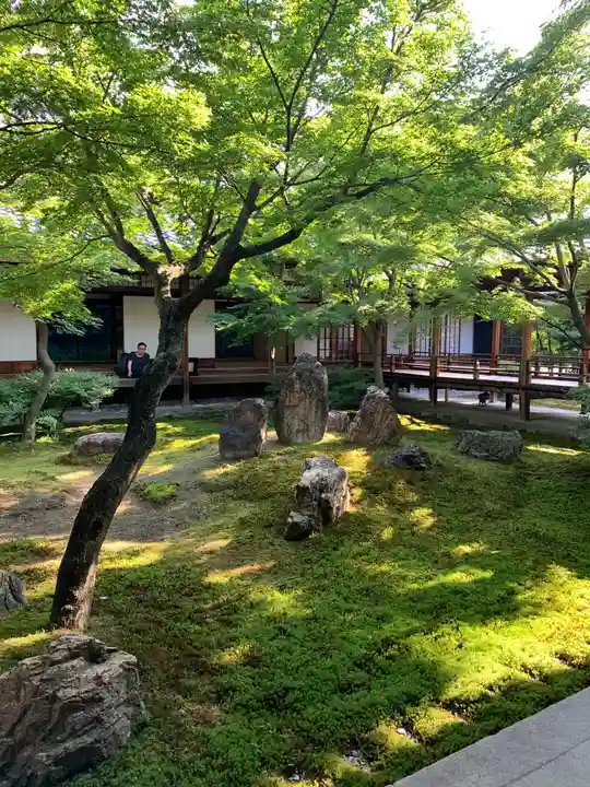 建仁寺(建仁禅寺)の庭園