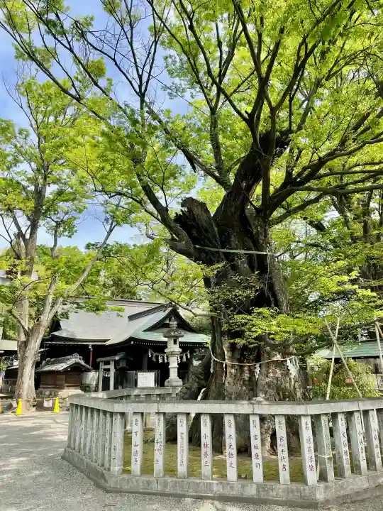 高城神社の{uncategorized: "未分類", other: "その他", undefined: "問題あり", building: "その他建物", grave: "お墓", sacred_gate: "鳥居", guardian: "狛犬", statue: "像", buddha: "仏像", history: "歴史", nature: "自然", garden: "庭園", animal: "動物", pagoda: "塔", temizu: "手水舎", mountain_gate: "山門・神門", sanctuary: "本殿・本堂", subordinate: "末社・摂社", art: "芸術", scenery: "景色", jizo: "地蔵", ema: "絵馬", goshuin: "御朱印", omikuji: "おみくじ", items: "授与品その他", amulet: "お守り", goshuincho: "御朱印帳", eats: "食事", festival: "お祭り", votive_dance: "神楽", shichigosan: "七五三参", wedding: "結婚式", experience: "体験その他", initially: "初詣", around: "周辺", anti_infection: "感染症対策"}