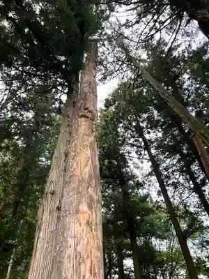 子檀嶺神社(長野県)