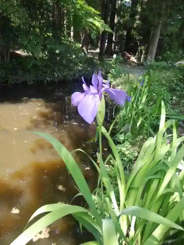 鹿島大神宮の庭園