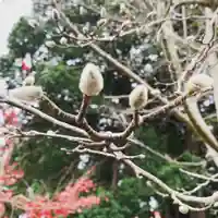 豊景神社の自然