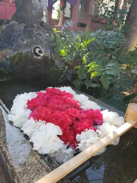 本郷氷川神社(東京都)