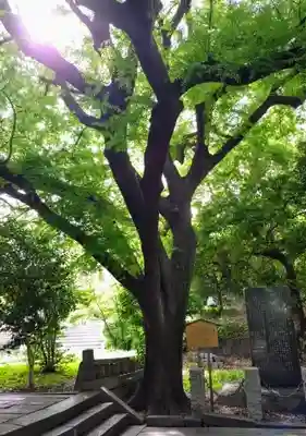 湯島聖堂(東京都)