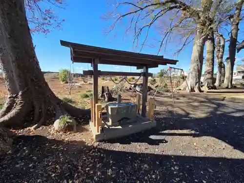 亀井神社(埼玉県)