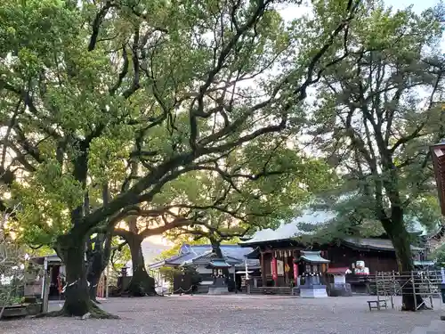 北岡神社の本殿・本堂