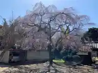 妙光寺(千葉県)