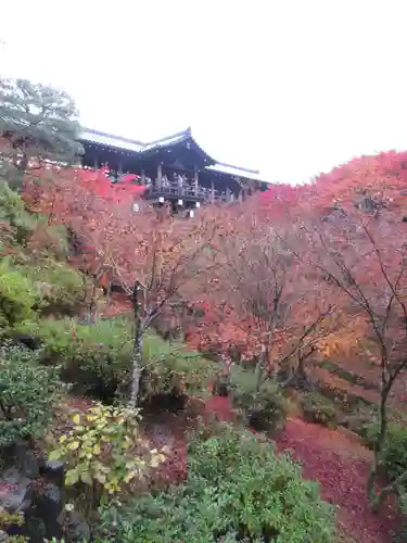 東福禅寺（東福寺）の自然