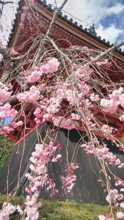 仁和寺のその他建物