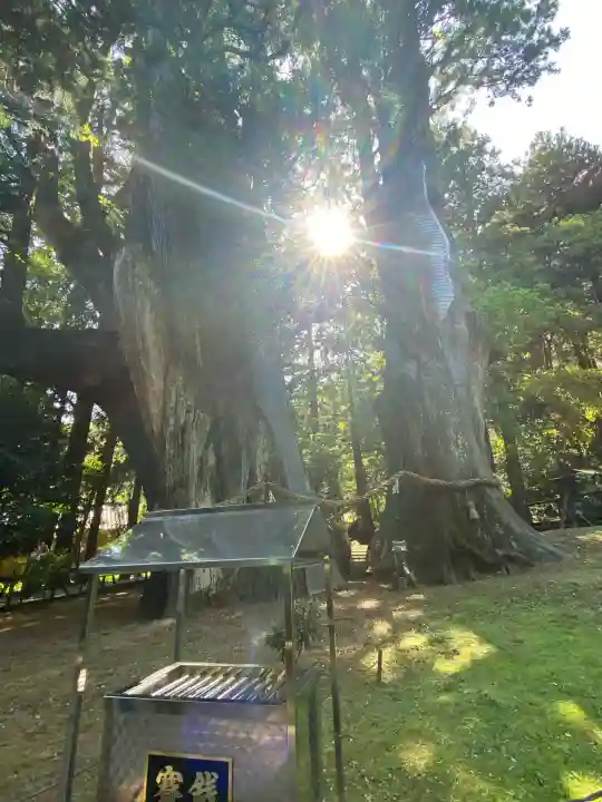 八坂神社(高知県)