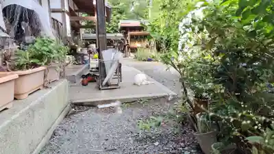 梅宮大社(京都府)