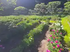 龍寳寺（龍宝寺）(神奈川県)