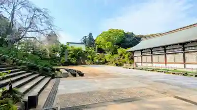 本土寺(千葉県)