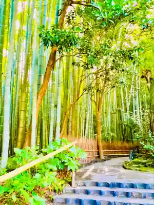 報国寺(神奈川県)