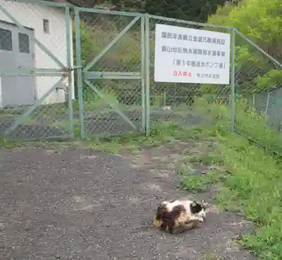 聖神社(埼玉県)