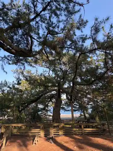 御穂神社の{uncategorized: "未分類", other: "その他", undefined: "問題あり", building: "その他建物", grave: "お墓", sacred_gate: "鳥居", guardian: "狛犬", statue: "像", buddha: "仏像", history: "歴史", nature: "自然", garden: "庭園", animal: "動物", pagoda: "塔", temizu: "手水舎", mountain_gate: "山門・神門", sanctuary: "本殿・本堂", subordinate: "末社・摂社", art: "芸術", scenery: "景色", jizo: "地蔵", ema: "絵馬", goshuin: "御朱印", omikuji: "おみくじ", items: "授与品その他", amulet: "お守り", goshuincho: "御朱印帳", eats: "食事", festival: "お祭り", votive_dance: "神楽", shichigosan: "七五三参", wedding: "結婚式", experience: "体験その他", initially: "初詣", around: "周辺", anti_infection: "感染症対策"}
