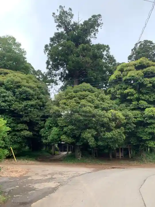 熊野神社(千葉県)