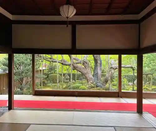 宝泉院(京都府)