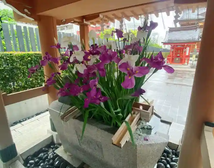 水天宮の{uncategorized: "未分類", other: "その他", undefined: "問題あり", building: "その他建物", grave: "お墓", sacred_gate: "鳥居", guardian: "狛犬", statue: "像", buddha: "仏像", history: "歴史", nature: "自然", garden: "庭園", animal: "動物", pagoda: "塔", temizu: "手水舎", mountain_gate: "山門・神門", sanctuary: "本殿・本堂", subordinate: "末社・摂社", art: "芸術", scenery: "景色", jizo: "地蔵", ema: "絵馬", goshuin: "御朱印", omikuji: "おみくじ", items: "授与品その他", amulet: "お守り", goshuincho: "御朱印帳", eats: "食事", festival: "お祭り", votive_dance: "神楽", shichigosan: "七五三参", wedding: "結婚式", experience: "体験その他", initially: "初詣", around: "周辺", anti_infection: "感染症対策"}