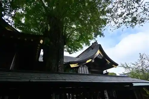 麻賀多神社(千葉県)