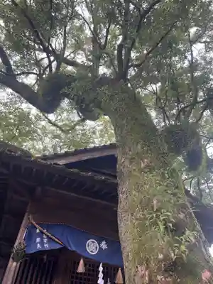青井阿蘇神社(熊本県)