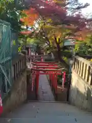 花園稲荷神社の鳥居