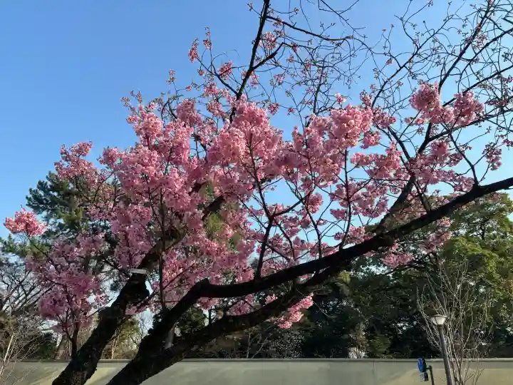 千鳥ヶ淵戦没者墓苑の{uncategorized: "未分類", other: "その他", undefined: "問題あり", building: "その他建物", grave: "お墓", sacred_gate: "鳥居", guardian: "狛犬", statue: "像", buddha: "仏像", history: "歴史", nature: "自然", garden: "庭園", animal: "動物", pagoda: "塔", temizu: "手水舎", mountain_gate: "山門・神門", sanctuary: "本殿・本堂", subordinate: "末社・摂社", art: "芸術", scenery: "景色", jizo: "地蔵", ema: "絵馬", goshuin: "御朱印", omikuji: "おみくじ", items: "授与品その他", amulet: "お守り", goshuincho: "御朱印帳", eats: "食事", festival: "お祭り", votive_dance: "神楽", shichigosan: "七五三参", wedding: "結婚式", experience: "体験その他", initially: "初詣", around: "周辺", anti_infection: "感染症対策"}