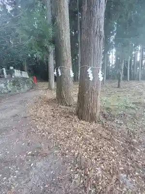 人丸神社(山形町)の自然