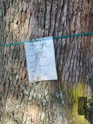 西丘神社の自然