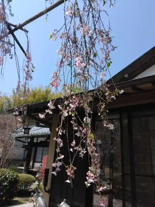 普門院(神奈川県)