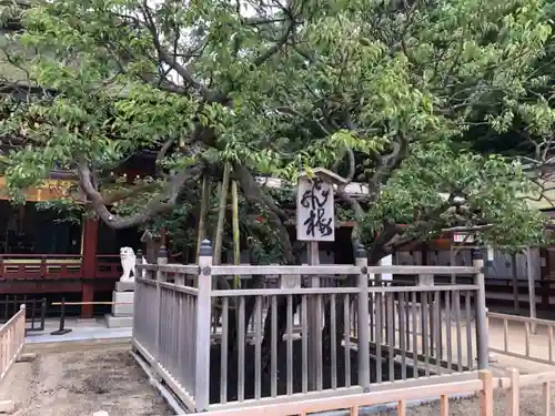 太宰府天満宮の自然