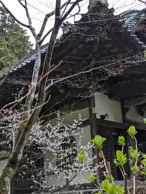 十輪寺(京都府)