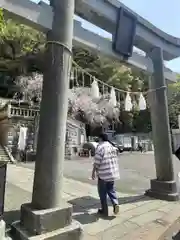 根岸八幡神社(神奈川県)