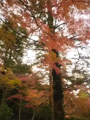 四宮神社の自然