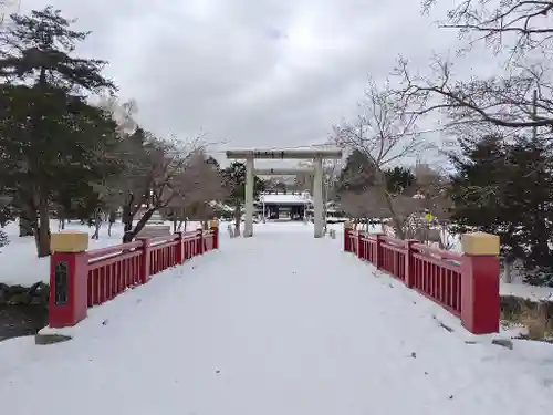 札幌護國神社の鳥居