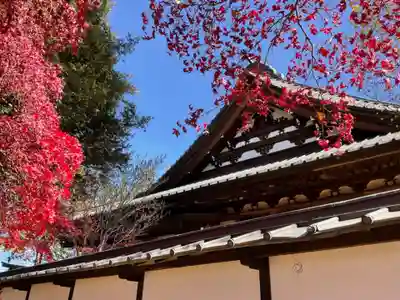 長圓寺のその他建物