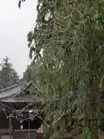 伏木香取神社の自然