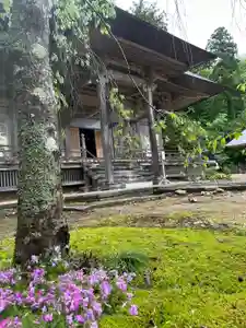 国上寺(新潟県)(2025年05月12日(月) 13時08分39秒投稿)