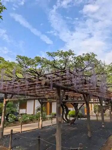 愛染院(東京都)