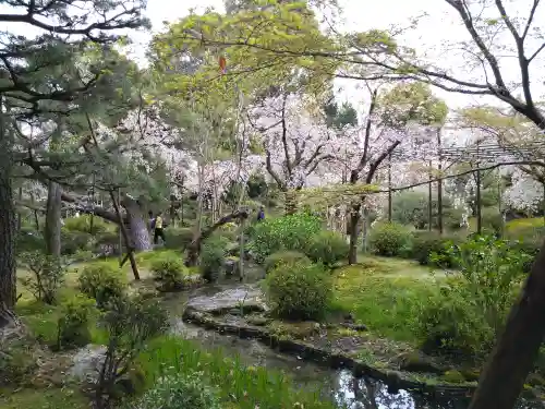 平安神宮(京都府)