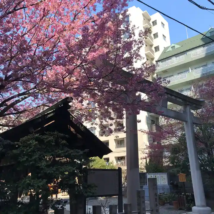 蔵前神社の鳥居