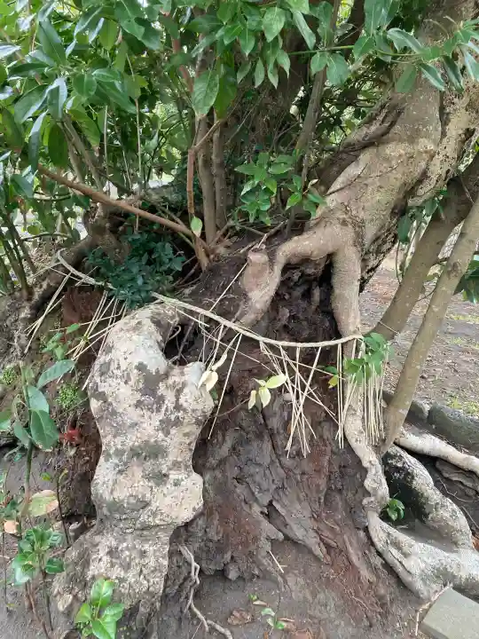 為朝神社(頭殿神社)の{uncategorized: "未分類", other: "その他", undefined: "問題あり", building: "その他建物", grave: "お墓", sacred_gate: "鳥居", guardian: "狛犬", statue: "像", buddha: "仏像", history: "歴史", nature: "自然", garden: "庭園", animal: "動物", pagoda: "塔", temizu: "手水舎", mountain_gate: "山門・神門", sanctuary: "本殿・本堂", subordinate: "末社・摂社", art: "芸術", scenery: "景色", jizo: "地蔵", ema: "絵馬", goshuin: "御朱印", omikuji: "おみくじ", items: "授与品その他", amulet: "お守り", goshuincho: "御朱印帳", eats: "食事", festival: "お祭り", votive_dance: "神楽", shichigosan: "七五三参", wedding: "結婚式", experience: "体験その他", initially: "初詣", around: "周辺", anti_infection: "感染症対策"}