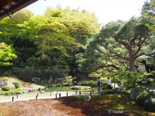 青蓮院門跡(京都府)