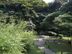 青蓮院門跡の庭園