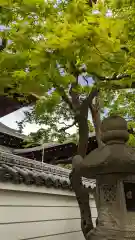 慈眼寺(京都府)