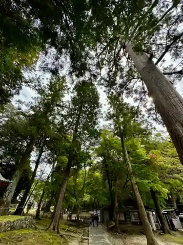 手向山八幡宮(奈良県)