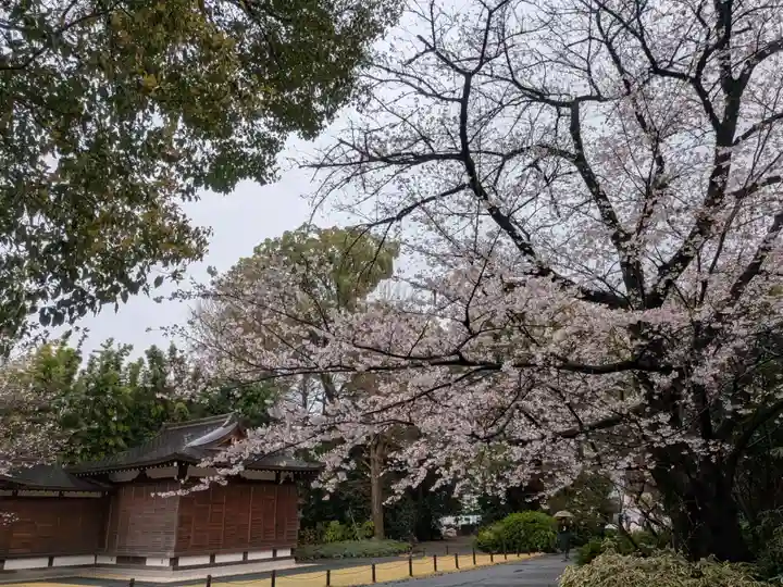 阿佐ヶ谷神明宮(東京都)