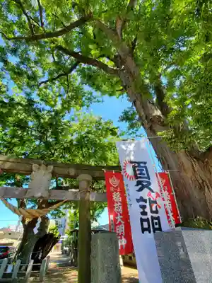 阿邪訶根神社のその他建物