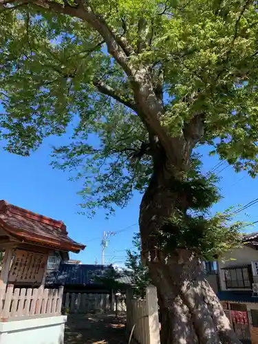 三国神社の建物その他