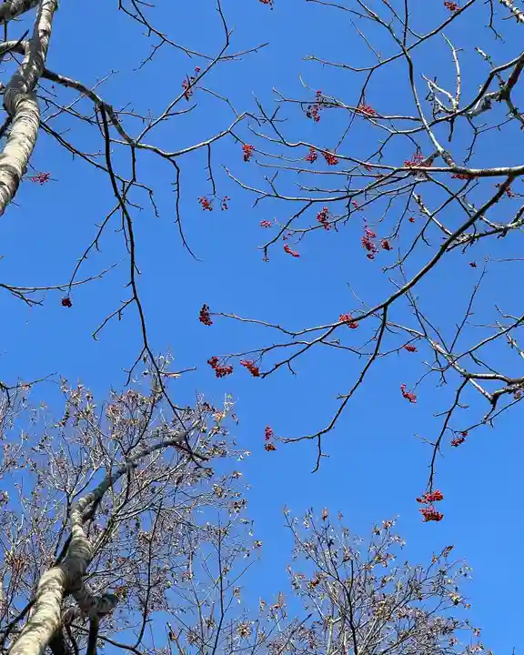 釧路一之宮 厳島神社の自然
